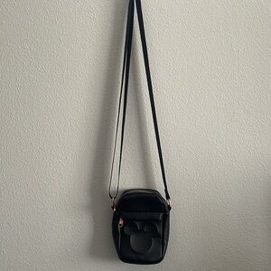 Buckle Down Disney Bag